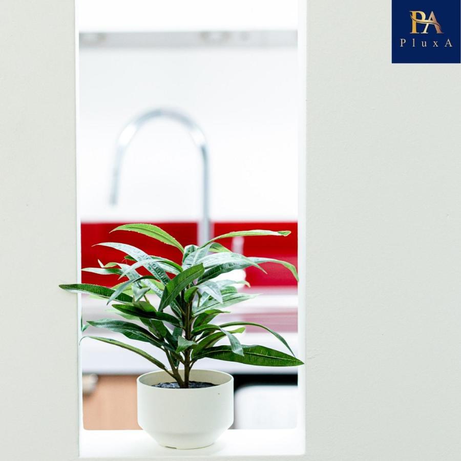 ברמינגהאם Pluxa Vivid Veranda Beautiful City Centre Apartment With Free Parking מראה חיצוני תמונה